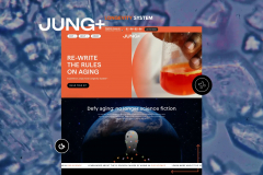 Shopify Custom Development for Jung